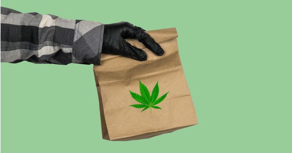 Cannabis Delivery Vs Dispensaries In Windsor Which Is Faster
