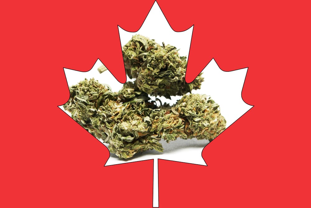 Legal Cannabis Delivery Leamington ON